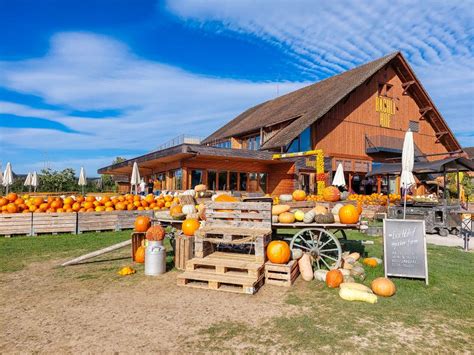 juckerhof jona|Fall season highlight: the Jucker Farm Pumpking。